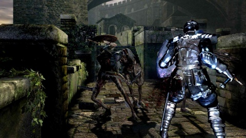Dark Souls Skeleton Sword Shield