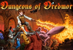 Dungeons of Dredmor Cover