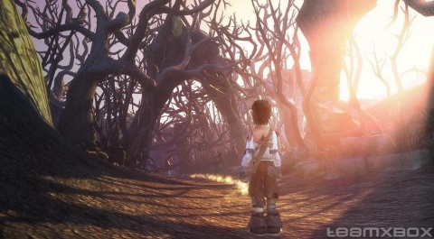 Fable 2 Child Forest